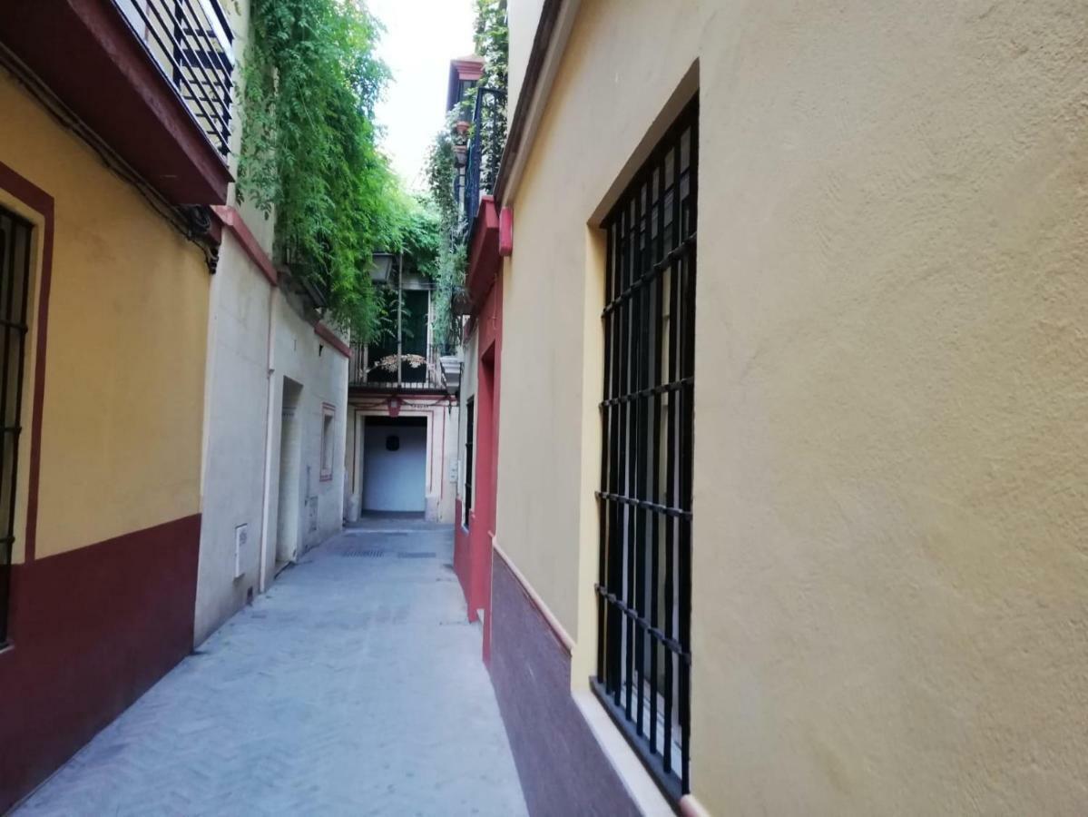 Apartamento En La Juderia De Sevilla エクステリア 写真