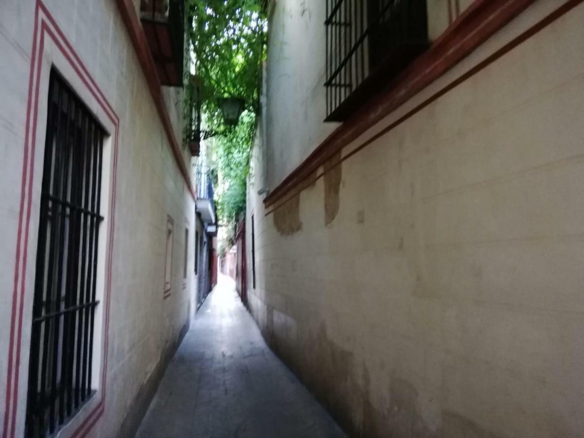 Apartamento En La Juderia De Sevilla エクステリア 写真